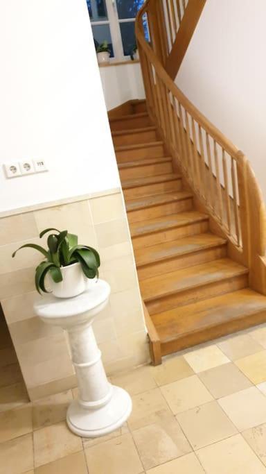 Ferienwohnung In Der Villa Sana Mit Grossem Garten Rofingen Екстер'єр фото