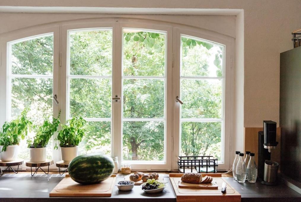 Ferienwohnung In Der Villa Sana Mit Grossem Garten Rofingen Екстер'єр фото