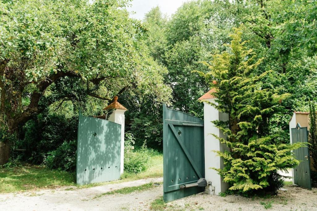 Ferienwohnung In Der Villa Sana Mit Grossem Garten Rofingen Екстер'єр фото